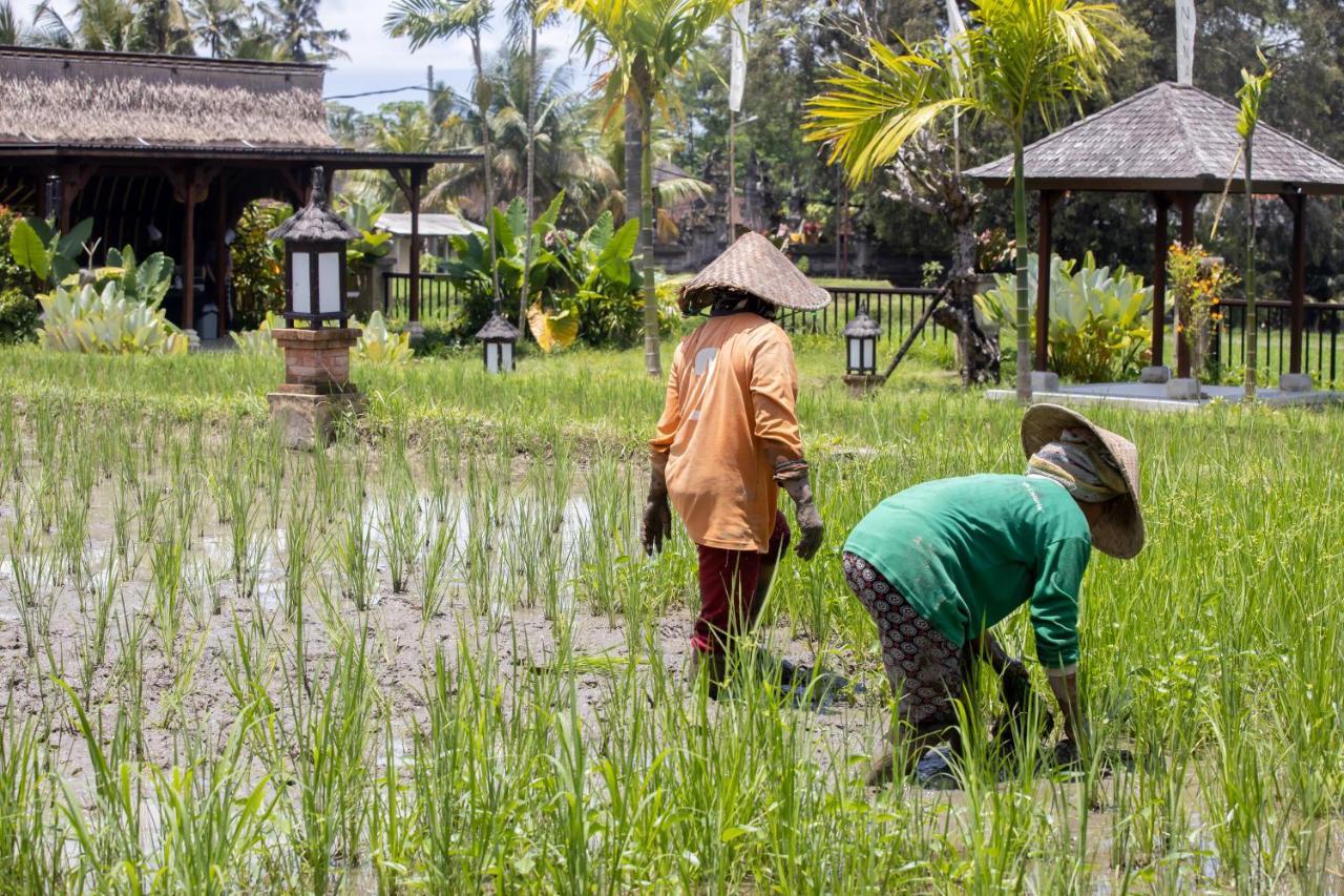 Anumana Village Ubud Εξωτερικό φωτογραφία