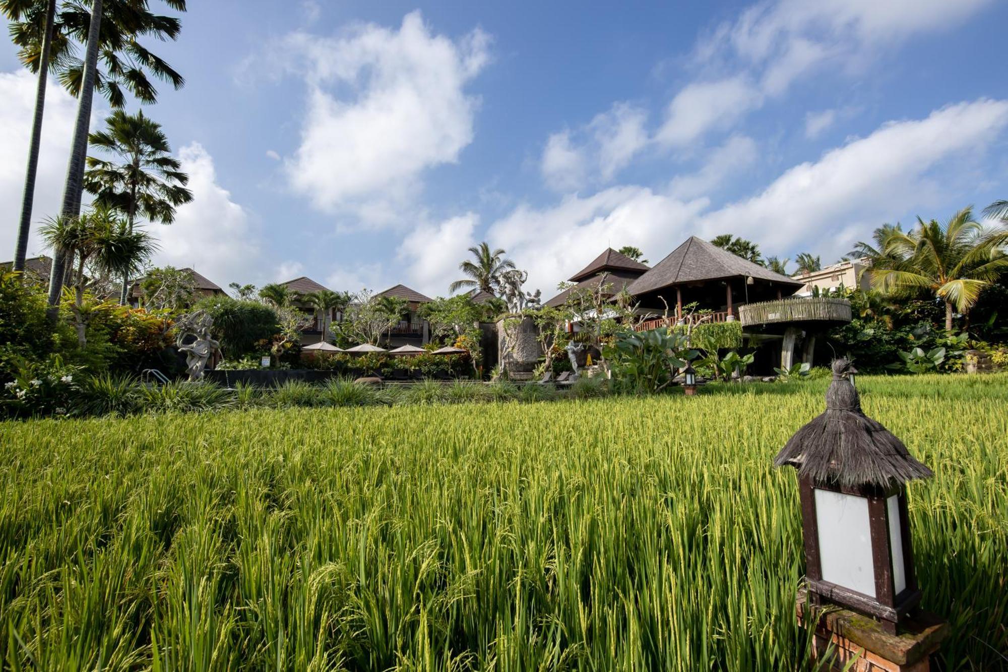 Anumana Village Ubud Εξωτερικό φωτογραφία